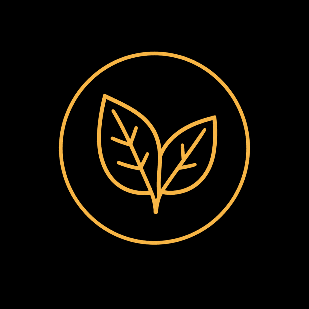 Explore Our Scents